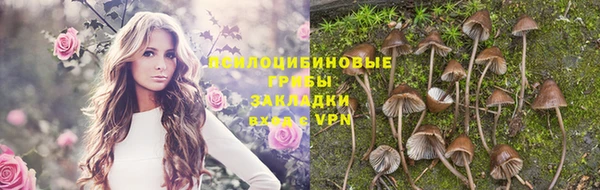 a pvp Алексеевка