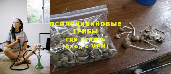 винт Алексин