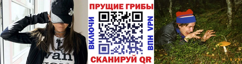 закладка  Кольчугино  Псилоцибиновые грибы Psilocybine cubensis 